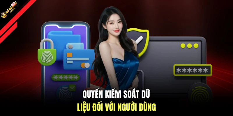 Quyền kiểm soát dữ liệu đối với người dùng